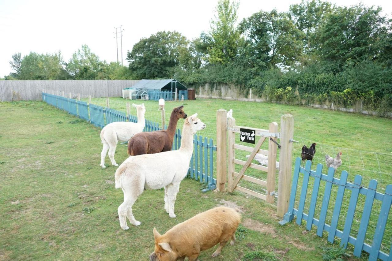 Готель The Piggery Pod Сіттінгборн Екстер'єр фото
